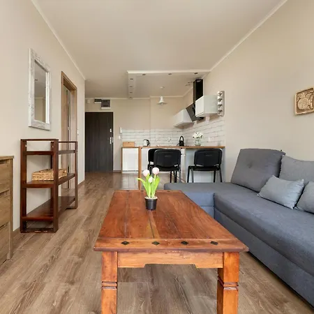 Apartment Nowoczesne Sun Seasons 24 W Szklarskiej Porebie Z Parkingiem By Renters