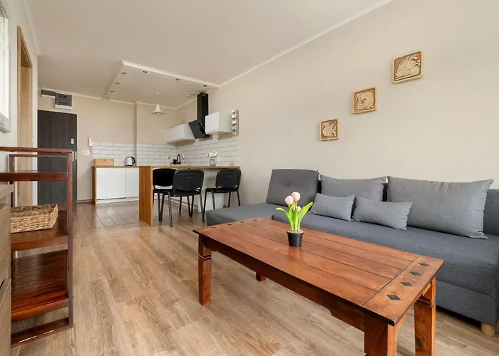 Lejlighed Nowoczesne Sun Seasons 24 W Szklarskiej Porebie Z Parkingiem By Renters *